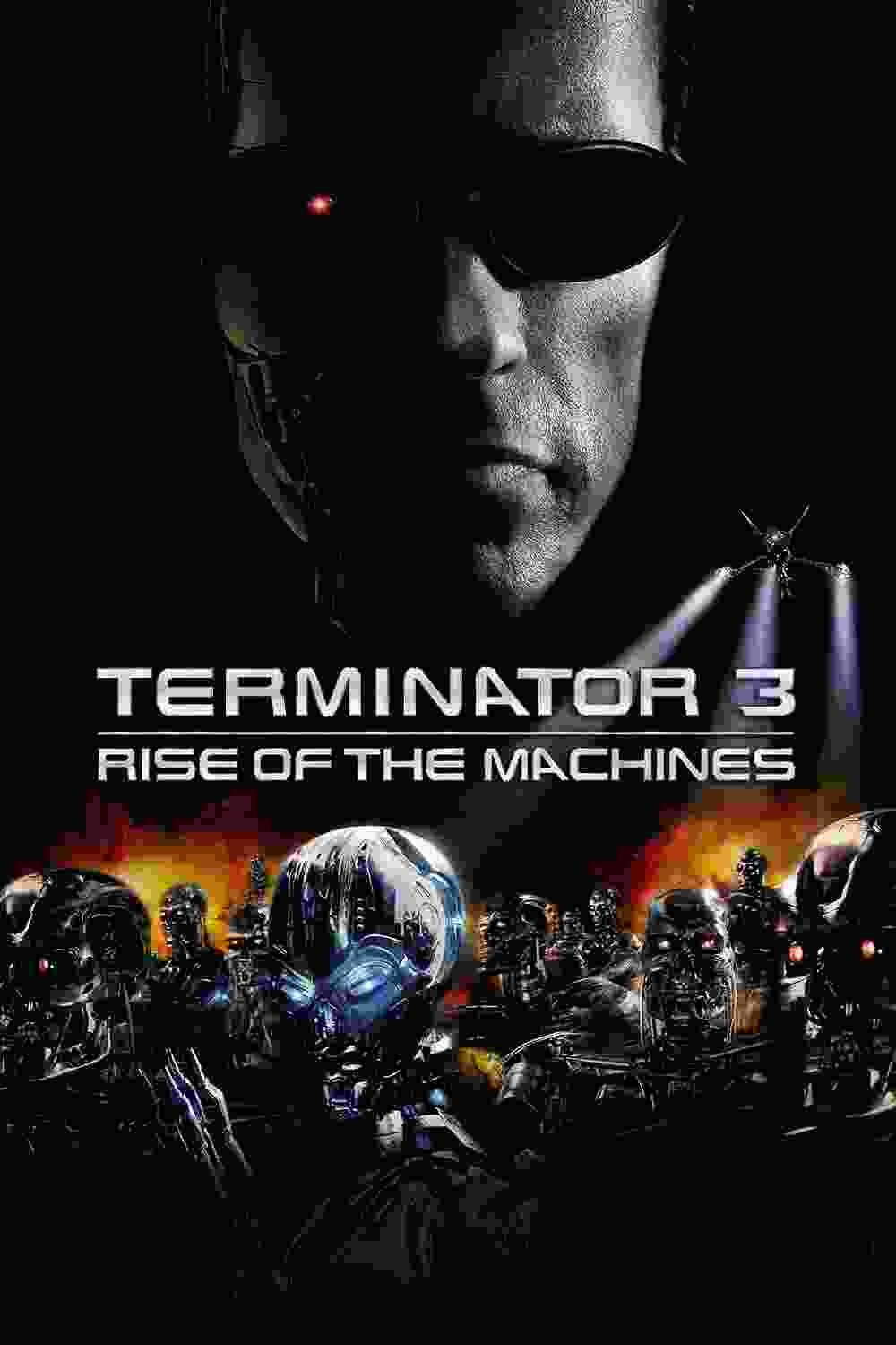 Terminator 3: Rise of the Machines (2003) vj ice p Arnold Schwarzenegger